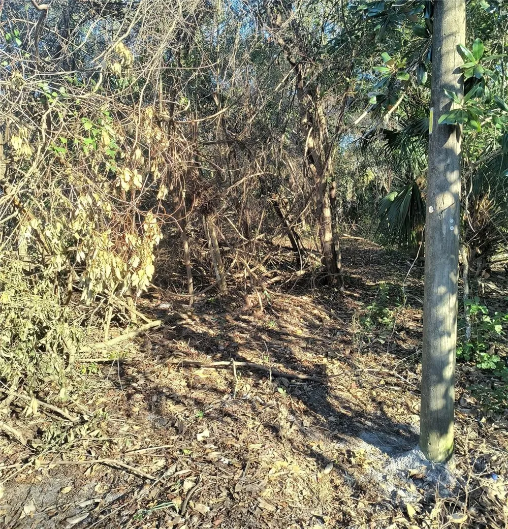 1929 NE 7TH PLACE Gainesville, FL 32641