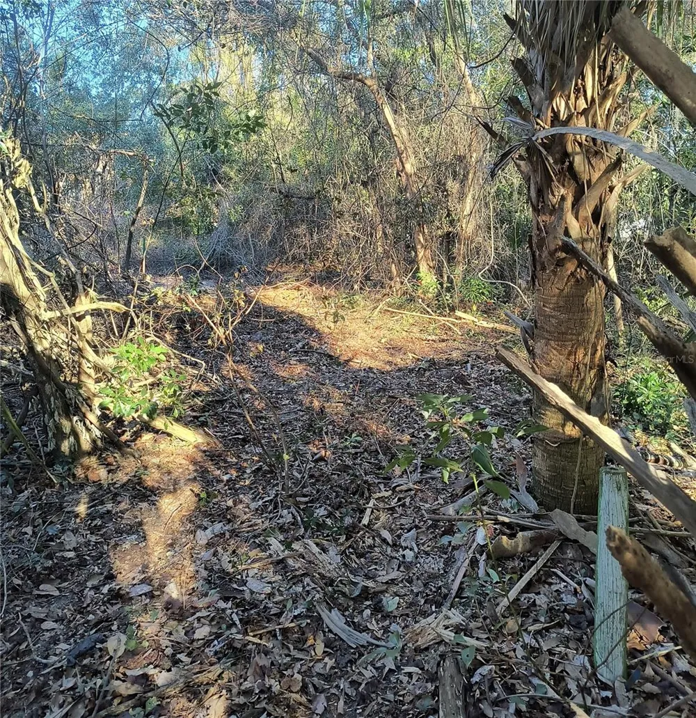 1929 NE 7TH PLACE Gainesville, FL 32641