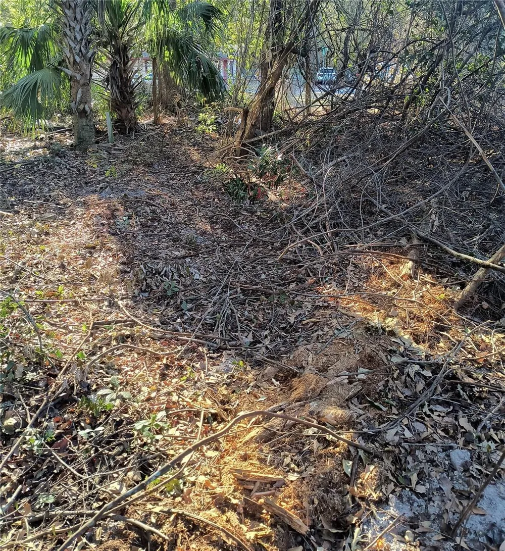 1929 NE 7TH PLACE Gainesville, FL 32641