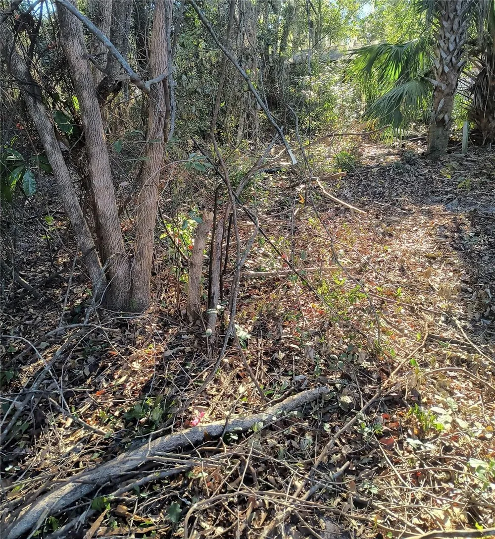 1929 NE 7TH PLACE Gainesville, FL 32641