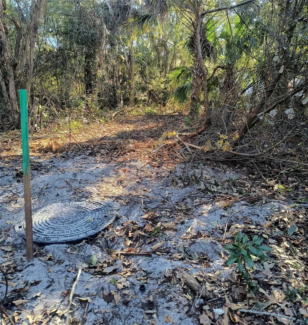 1929 NE 7TH PLACE Gainesville, FL 32641
