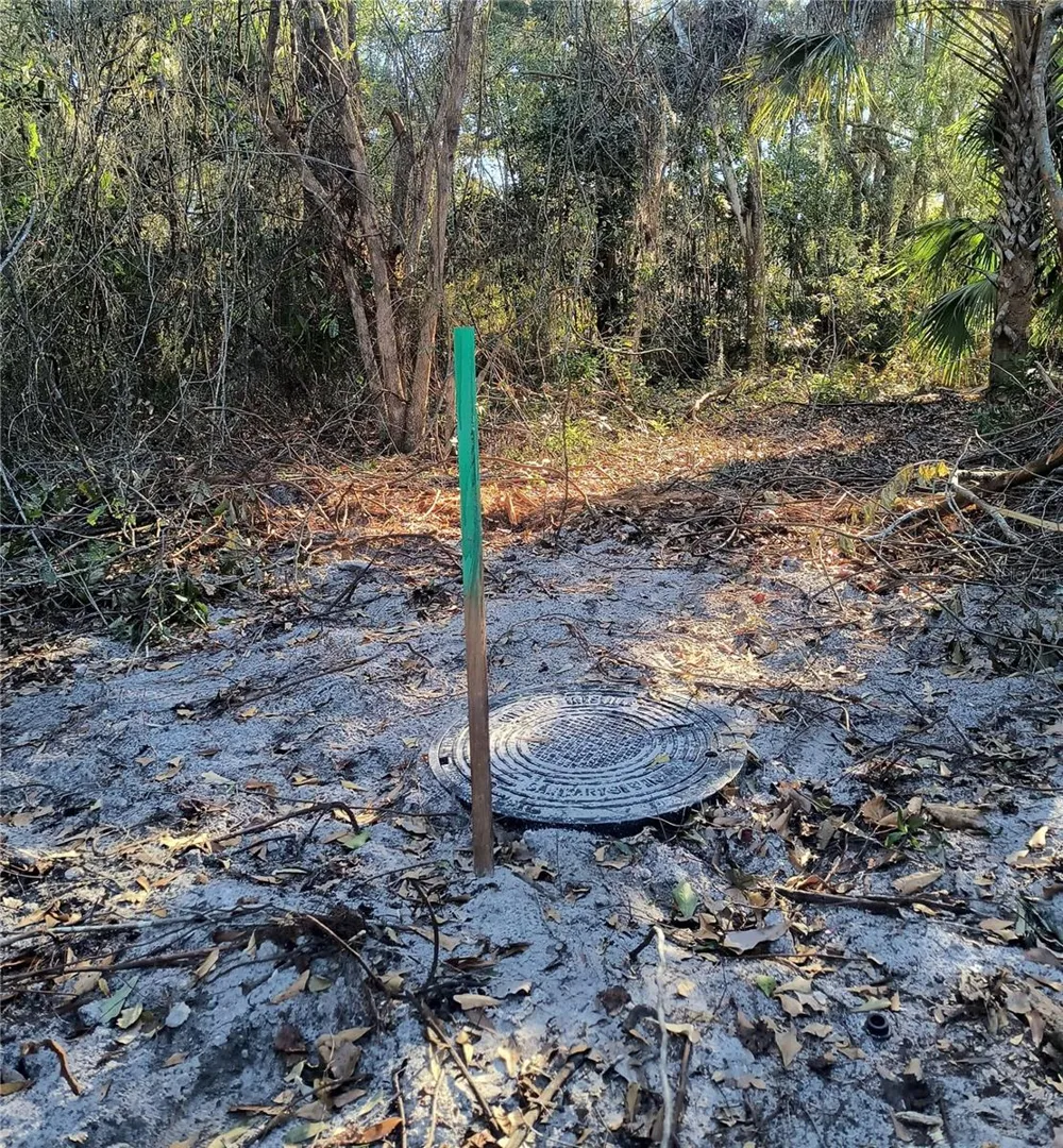 1929 NE 7TH PLACE Gainesville, FL 32641