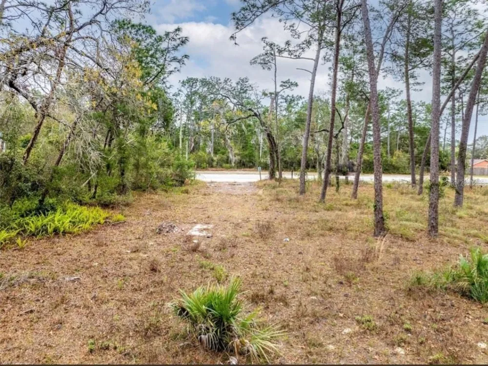 1370 COURTLAND BLVD Deltona, FL 32738