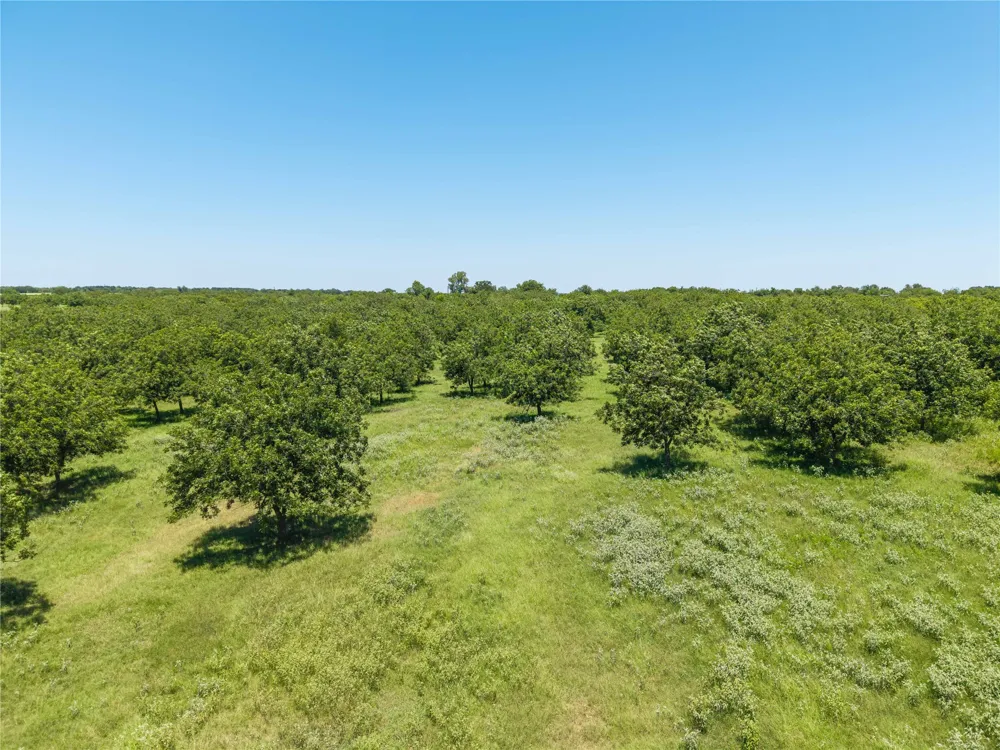 164 Highway 2318 De Leon, TX 76444