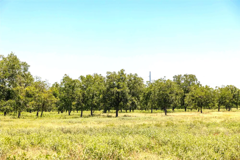 164 Highway 2318 De Leon, TX 76444