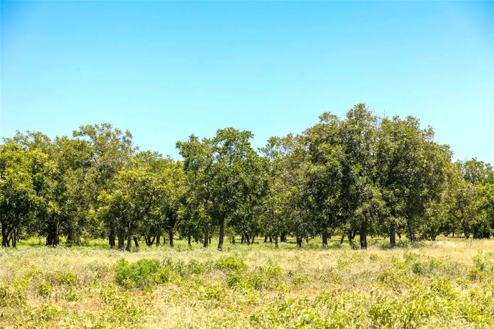 164 Highway 2318 De Leon, TX 76444