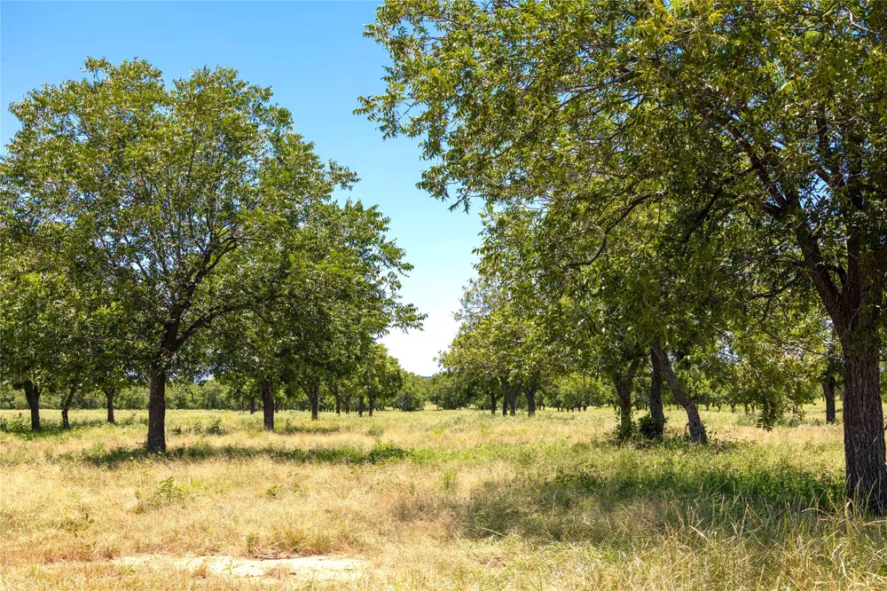 164 Highway 2318 De Leon, TX 76444