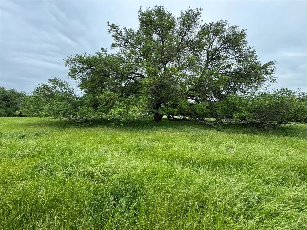 395 County Road 470 Chilton, TX 76632
