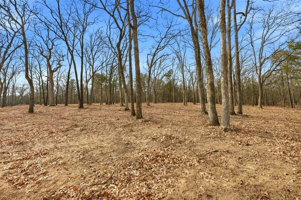 White Tail Way Pottsboro, TX 75076