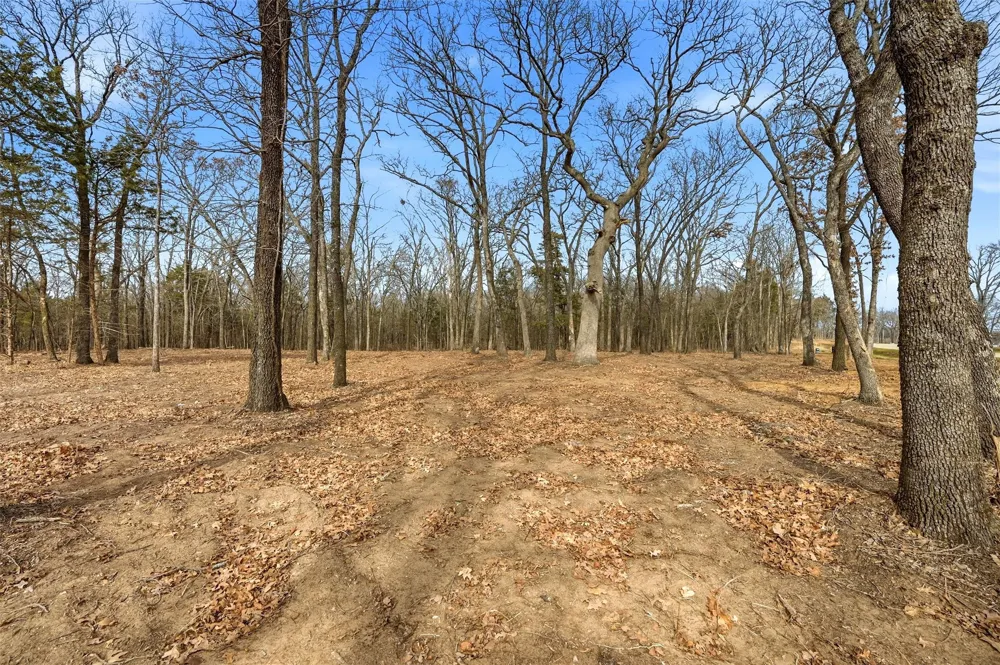 White Tail Way Pottsboro, TX 75076