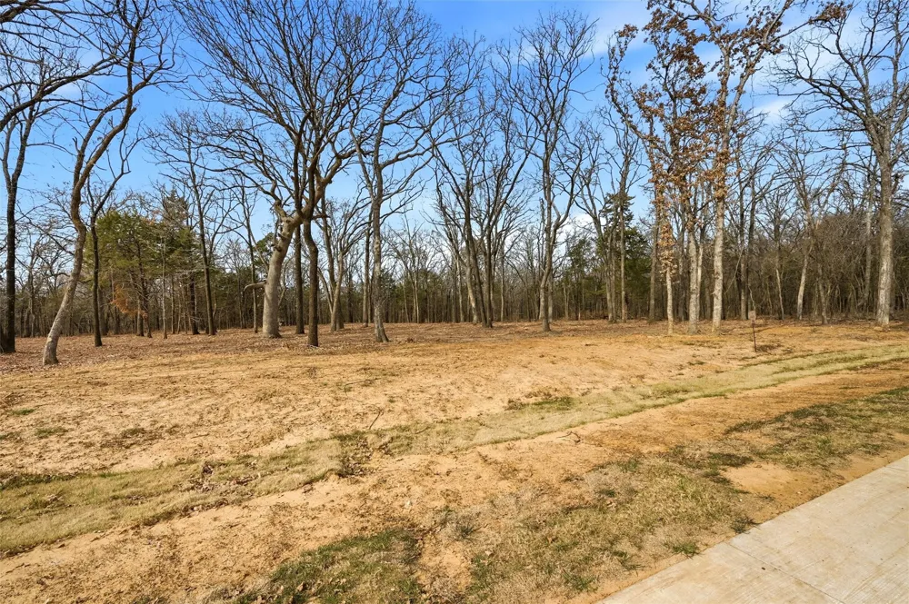 White Tail Way Pottsboro, TX 75076