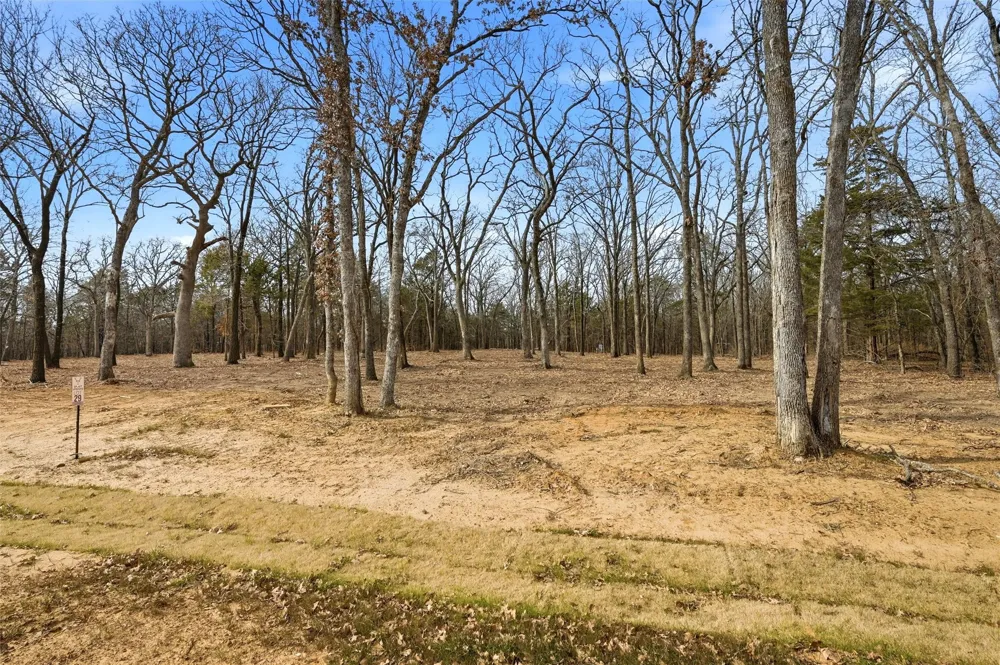 White Tail Way Pottsboro, TX 75076