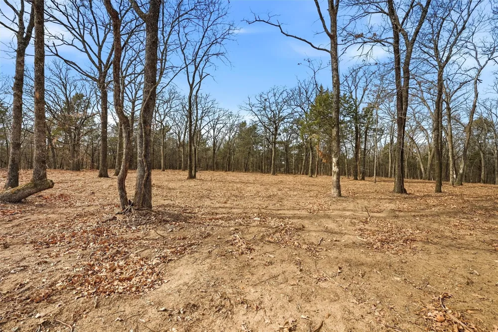 White Tail Way Pottsboro, TX 75076