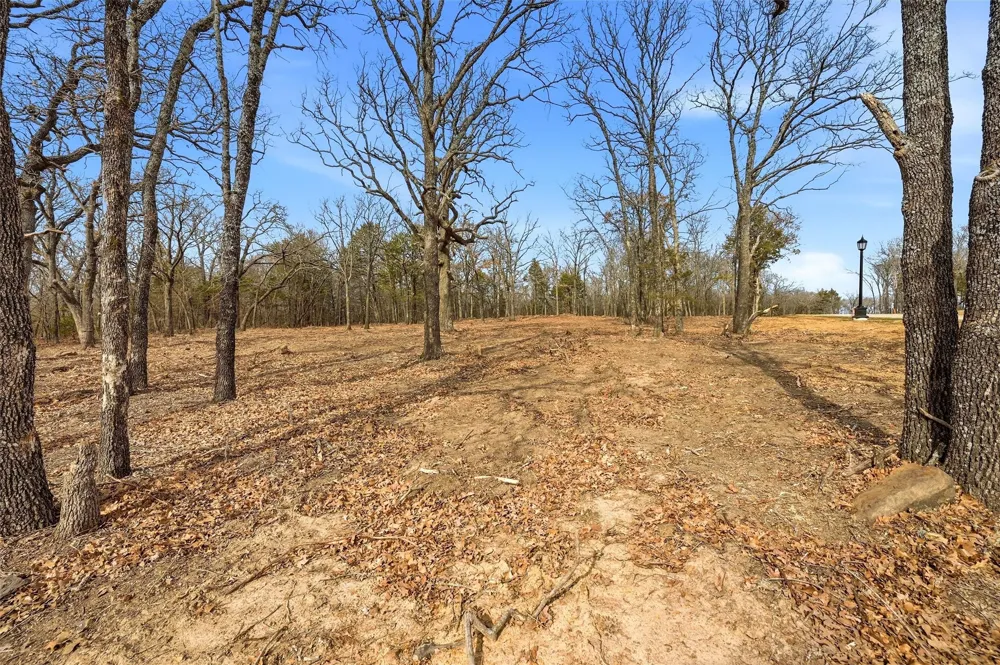 White Tail Way Pottsboro, TX 75076