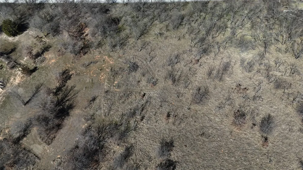 Sunflower Road Paradise, TX 76073