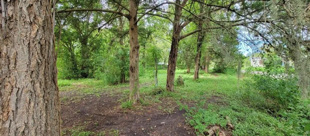 6415 S F Austin Jones Creek, TX 77541