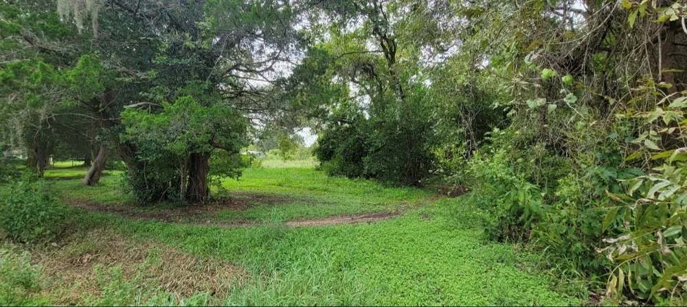 6415 S F Austin Jones Creek, TX 77541
