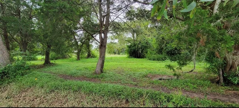 6415 S F Austin Jones Creek, TX 77541