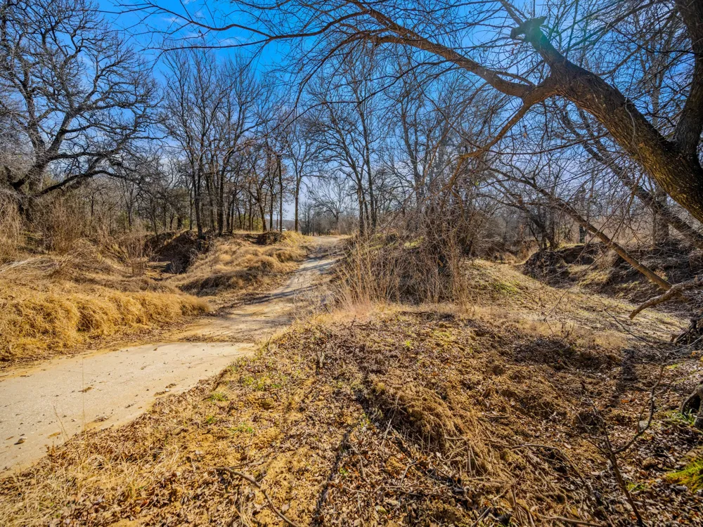 Cement Mountain Road Bryson, TX 76427