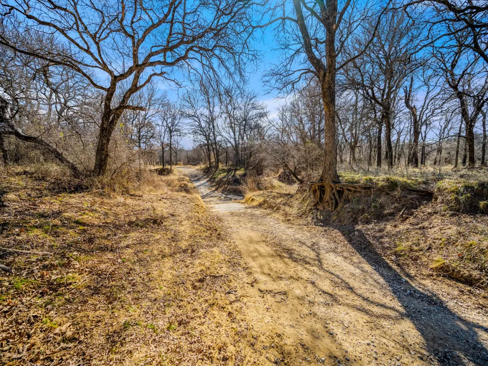 Cement Mountain Road Bryson, TX 76427