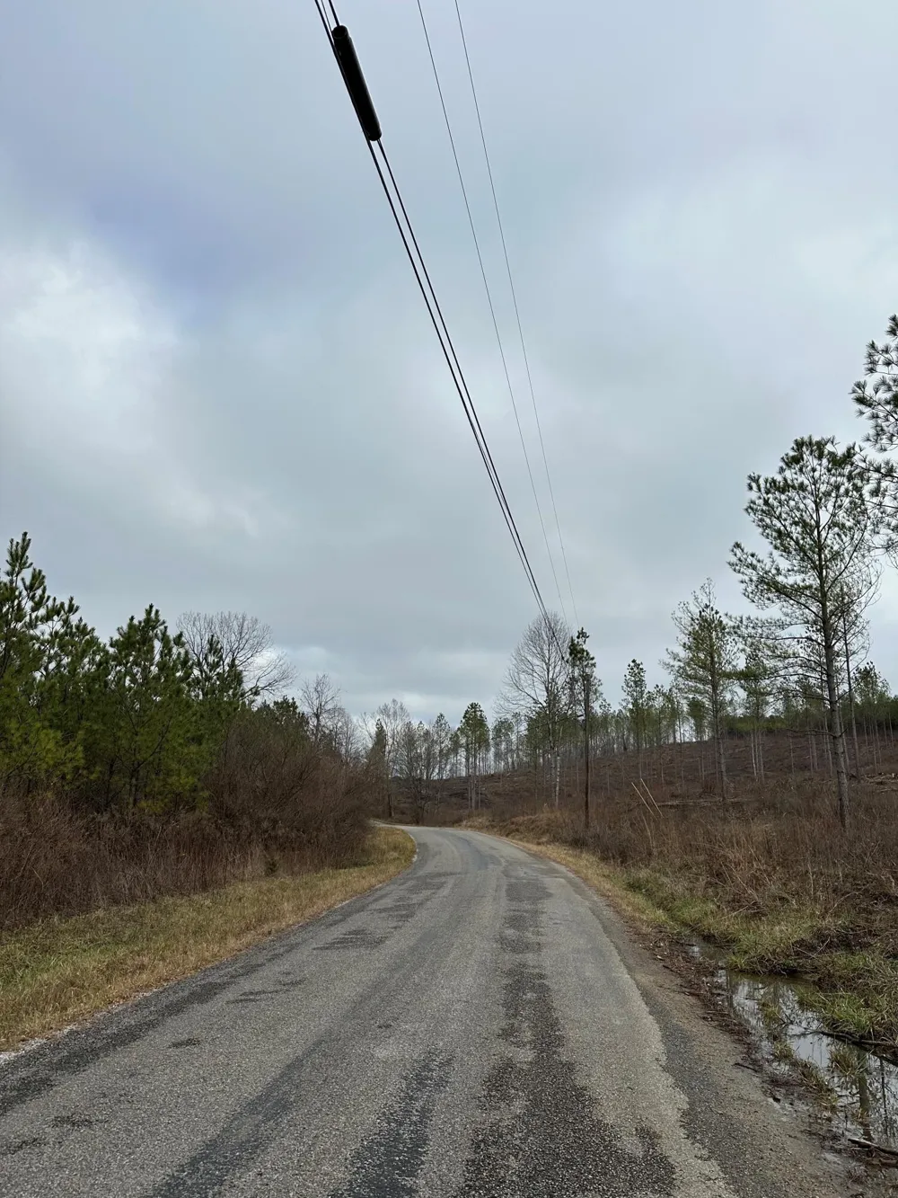 24 Thomas Springs Road Crossville, TN 38572