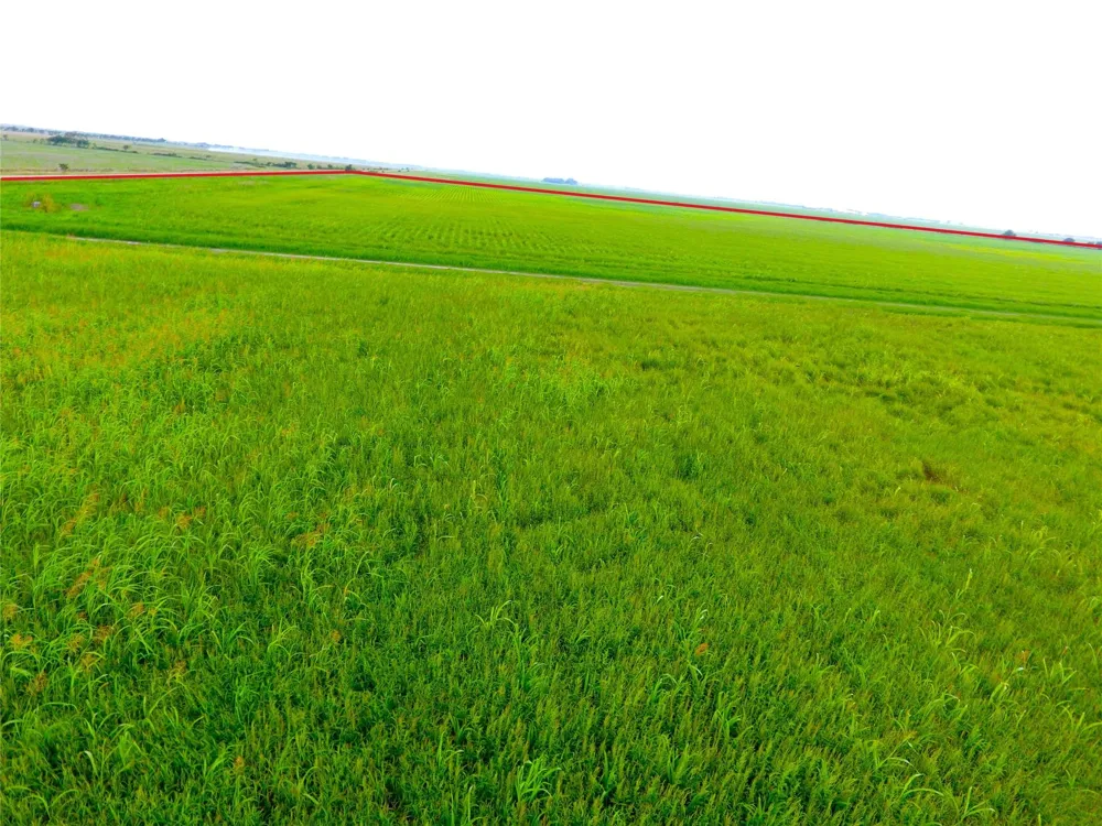 768 Million Dollar Road Palacios, TX 77465