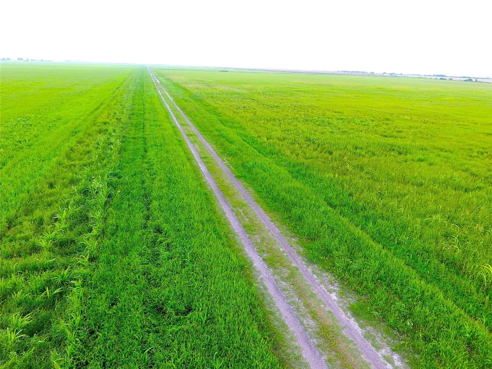 768 Million Dollar Road Palacios, TX 77465