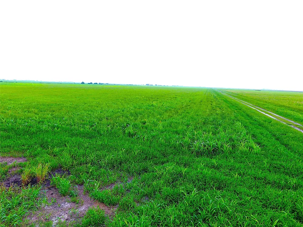 768 Million Dollar Road Palacios, TX 77465
