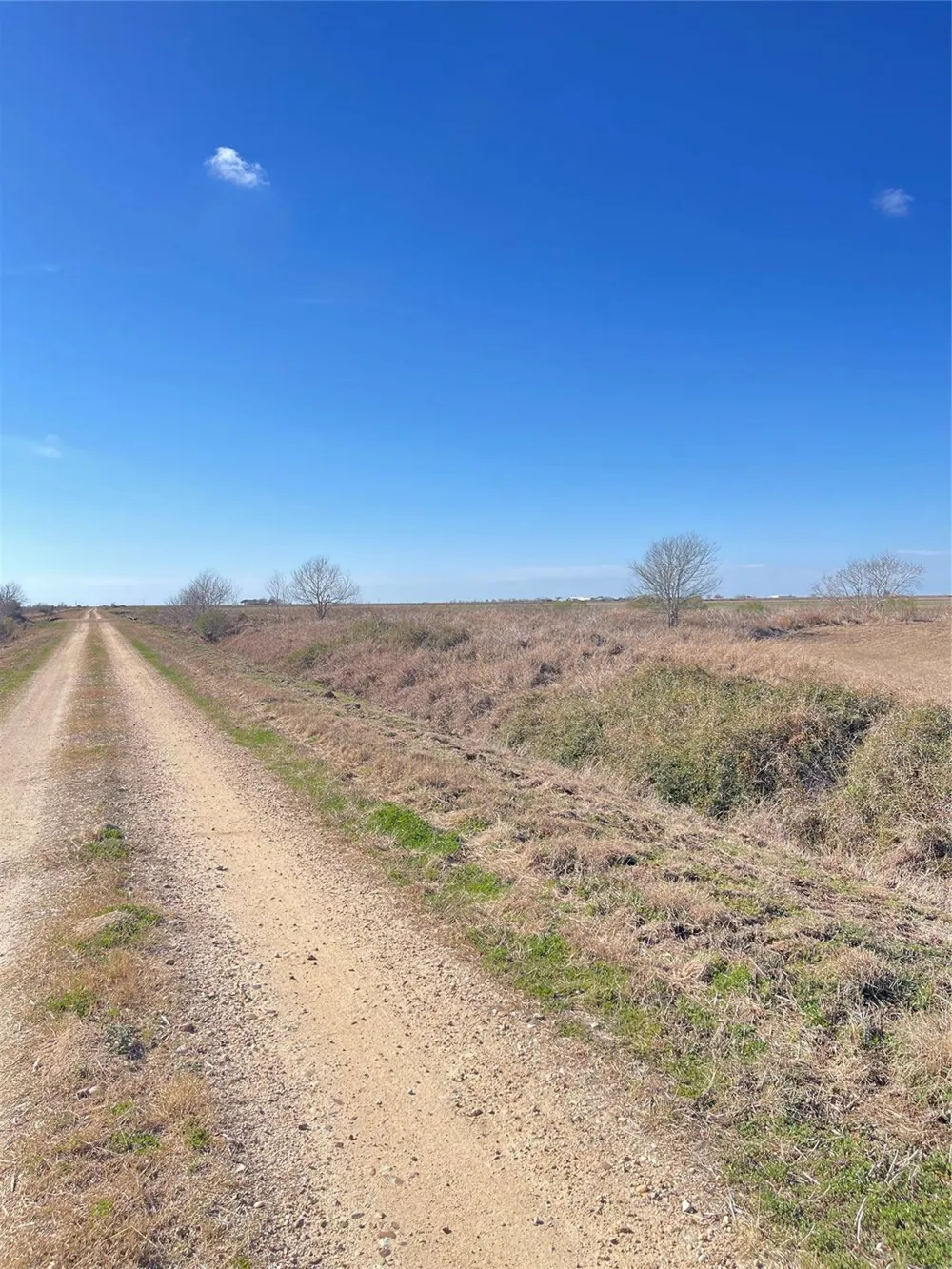 768 Million Dollar Road Palacios, TX 77465