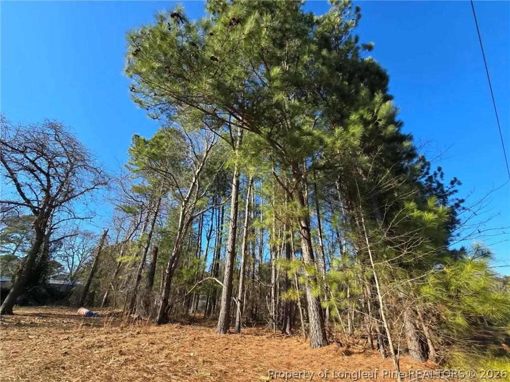 4026 Nursery Road Spring Lake, NC 28390
