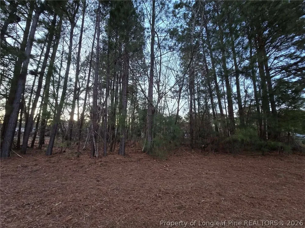 4026 Nursery Road Spring Lake, NC 28390