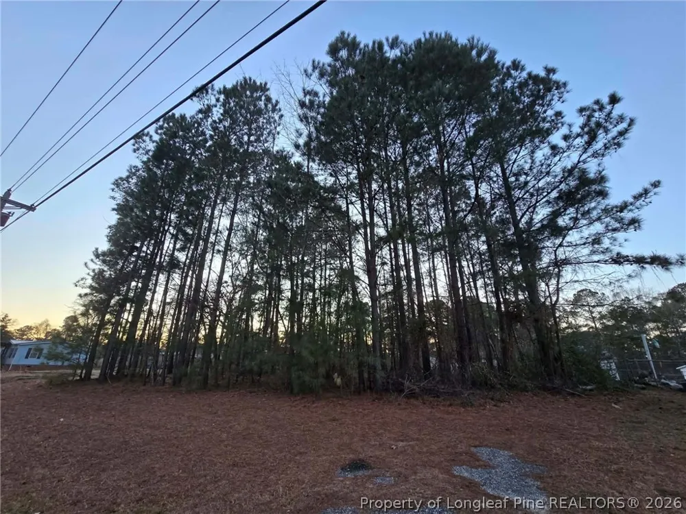 4026 Nursery Road Spring Lake, NC 28390