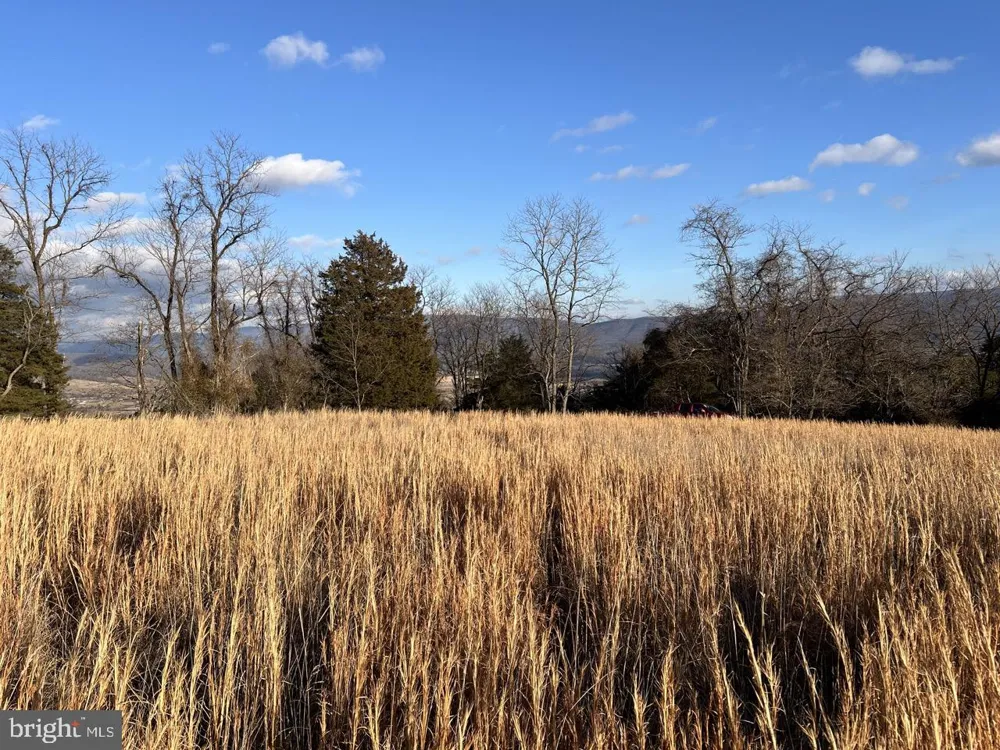 38 HOWARD SIONS ROAD Moorefield, WV 26836
