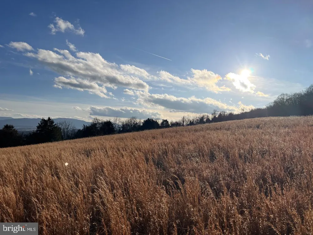 38 HOWARD SIONS ROAD Moorefield, WV 26836