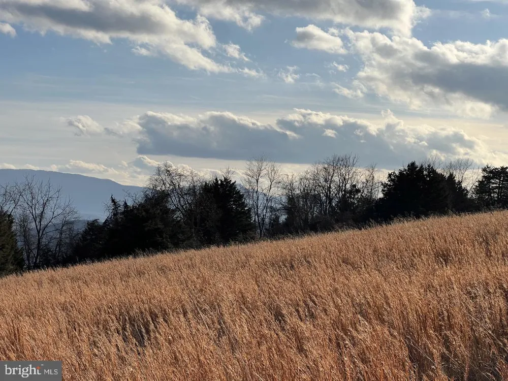 38 HOWARD SIONS ROAD Moorefield, WV 26836