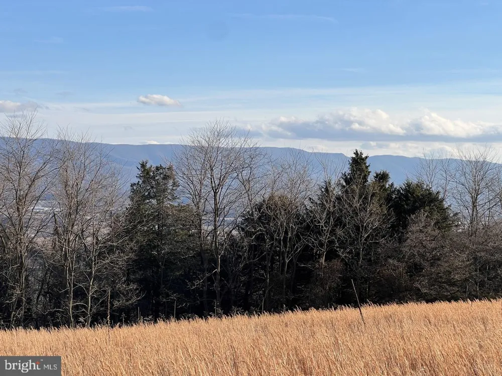 38 HOWARD SIONS ROAD Moorefield, WV 26836