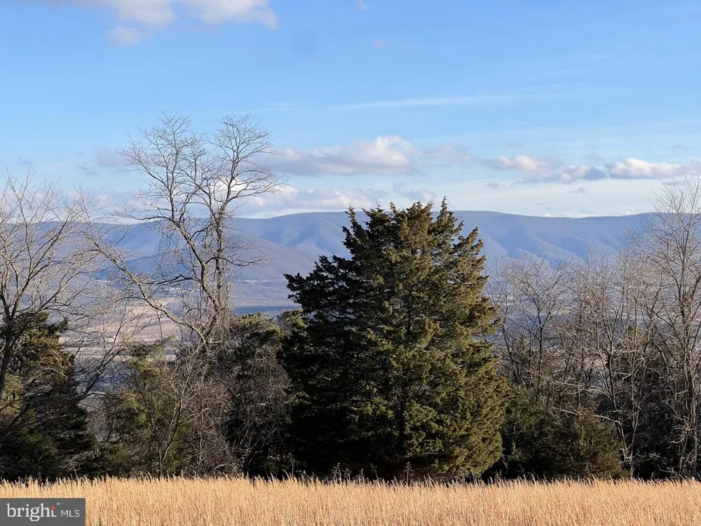 38 HOWARD SIONS ROAD Moorefield, WV 26836