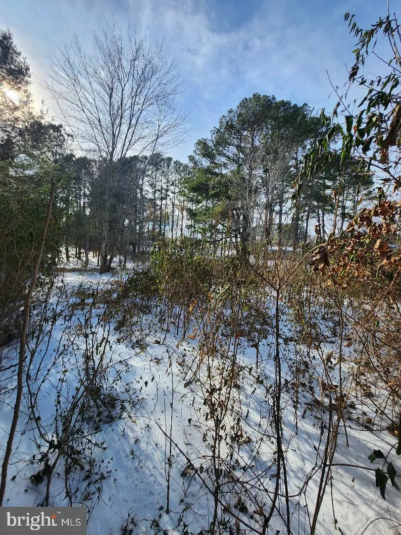 9546 RAPIDAN DRIVE Fredericksburg, VA 22407