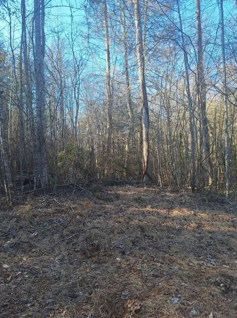 lots Mill Creek Acres