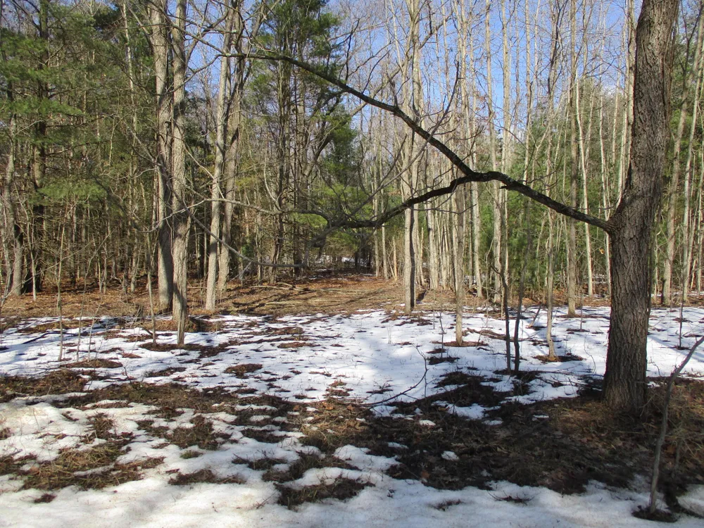 105th Avenue #Parcel 04 Pullman, MI 49450