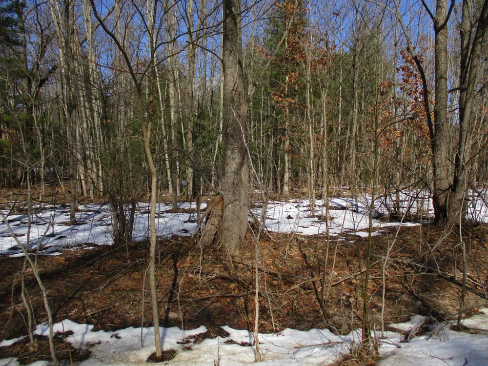 105th Avenue #Parcel 04 Pullman, MI 49450