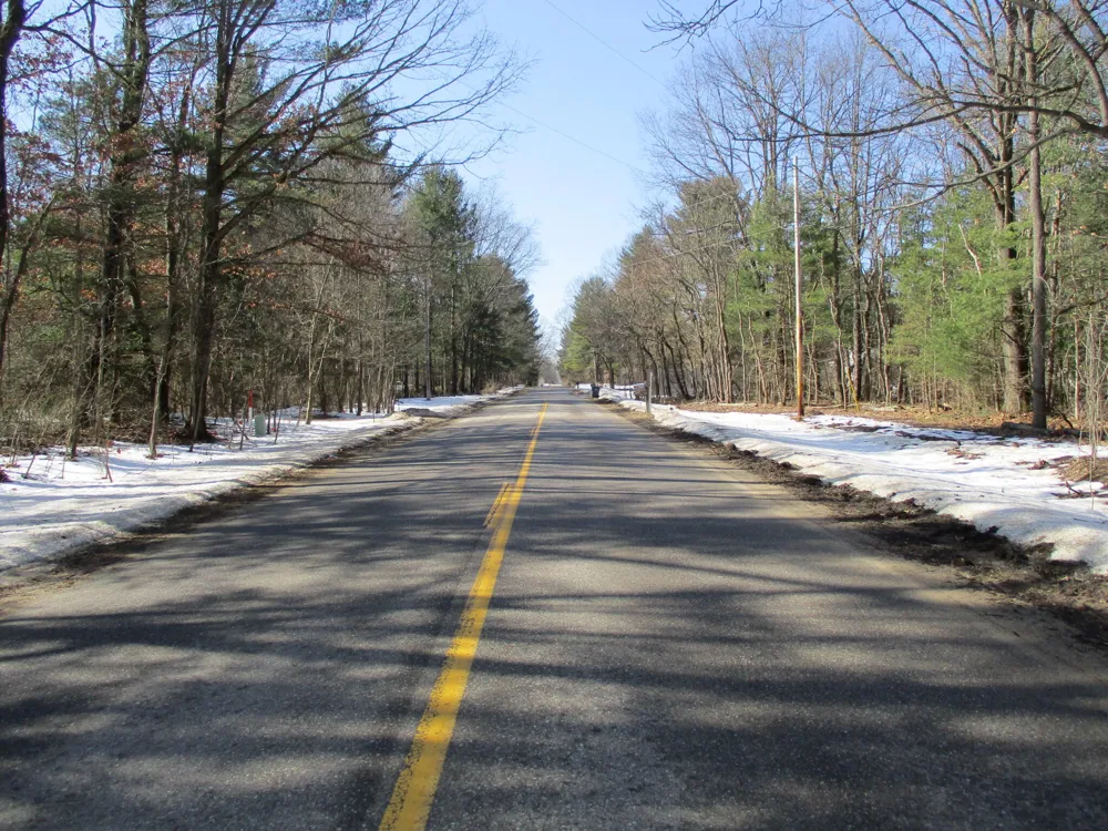 105th Avenue #Parcel 04 Pullman, MI 49450