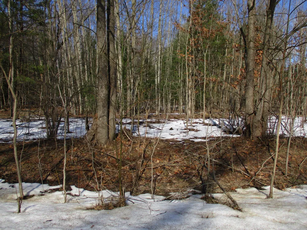 105th Avenue #Parcel 04 Pullman, MI 49450