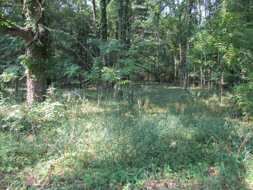 105th Avenue #Parcel 04 Pullman, MI 49450