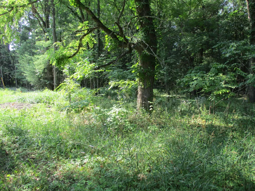 105th Avenue #Parcel 04 Pullman, MI 49450