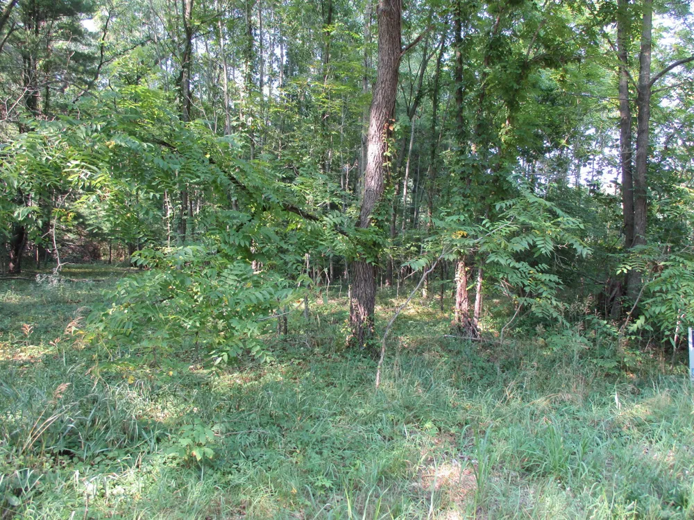 105th Avenue #Parcel 04 Pullman, MI 49450