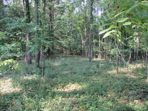 105th Avenue #Parcel 04