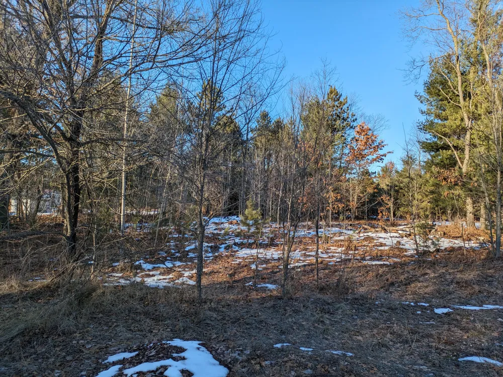 6 Jussi Street Kaleva, MI 49645
