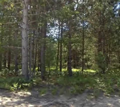 Bergstrom Drive