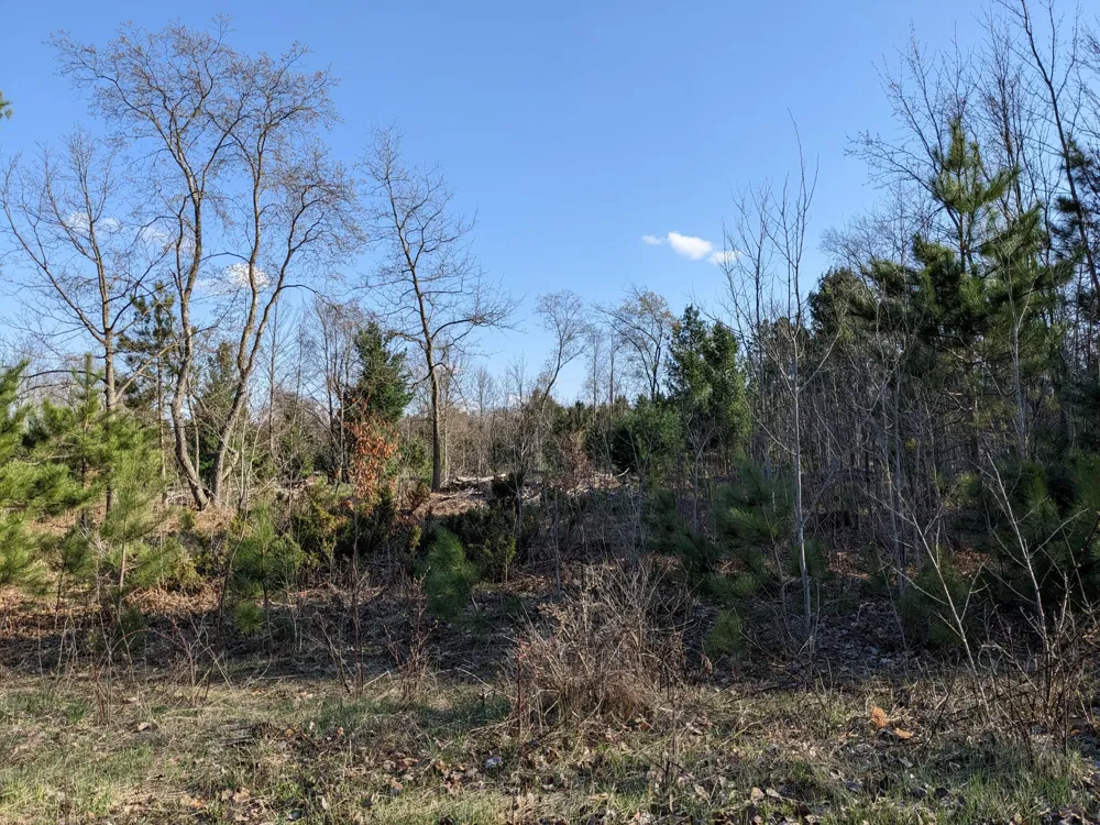Bergstrom Drive Kaleva, MI 49645